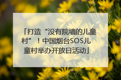 打造“没有院墙的儿童村”！中国烟台SOS儿童村举办开放日活动