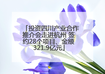 投资四川产业合作推介会走进杭州 签约28个项目、金额321.9亿元