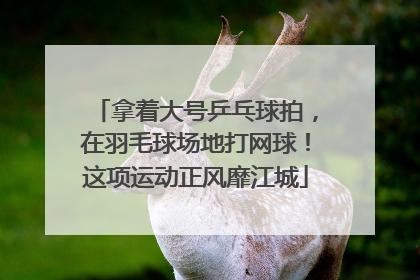 拿着大号乒乓球拍，在羽毛球场地打网球！这项运动正风靡江城