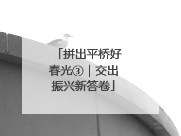 拼出平桥好春光③｜交出振兴新答卷
