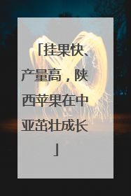 挂果快、产量高，陕西苹果在中亚茁壮成长