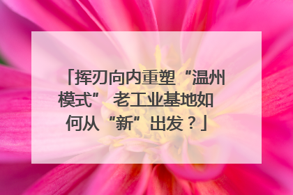 挥刃向内重塑“温州模式” 老工业基地如何从“新”出发？