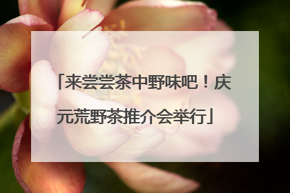 来尝尝茶中野味吧！庆元荒野茶推介会举行