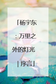 杨宇东：万里之外的灯光｜序言