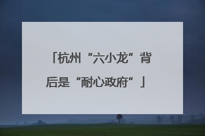 杭州“六小龙”背后是“耐心政府”