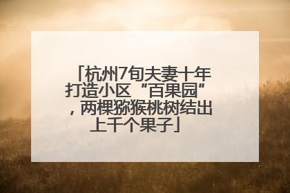 杭州7旬夫妻十年打造小区“百果园”，两棵猕猴桃树结出上千个果子