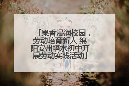 果香浸润校园，劳动培育新人 绵阳安州塔水初中开展劳动实践活动