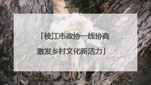 枝江市政协一线协商激发乡村文化新活力
