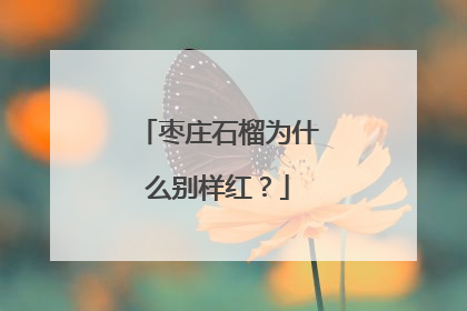 枣庄石榴为什么别样红？