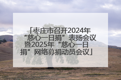 枣庄市召开2024年“慈心一日捐”表扬会议暨2025年“慈心一日捐”网络募捐动员会议