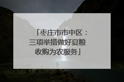 枣庄市市中区：三项举措做好夏粮收购为农服务
