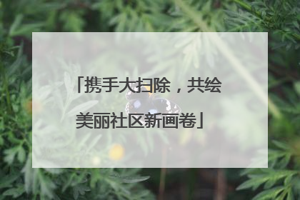 携手大扫除，共绘美丽社区新画卷