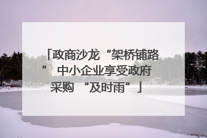 政商沙龙“架桥铺路” 中小企业享受政府采购 “及时雨”
