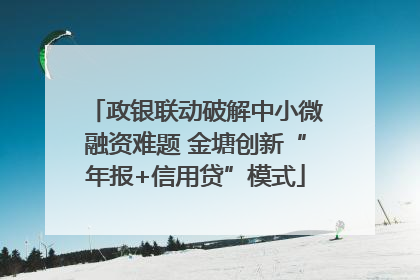 政银联动破解中小微融资难题 金塘创新“年报+信用贷”模式