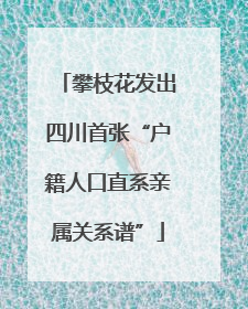 攀枝花发出四川首张“户籍人口直系亲属关系谱”