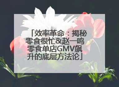 效率革命：揭秘零食很忙&赵一鸣零食单店GMV飙升的底层方法论