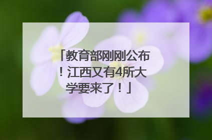 教育部刚刚公布！江西又有4所大学要来了！