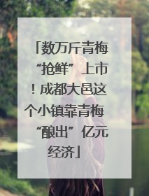 数万斤青梅“抢鲜”上市！成都大邑这个小镇靠青梅“酿出”亿元经济