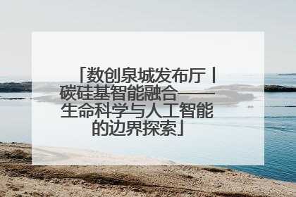 数创泉城发布厅丨碳硅基智能融合——生命科学与人工智能的边界探索