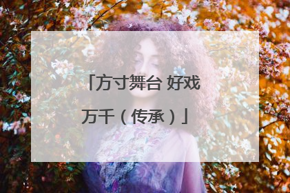 方寸舞台 好戏万千（传承）