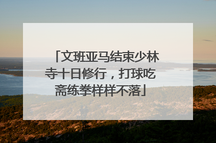 文班亚马结束少林寺十日修行，打球吃斋练拳样样不落