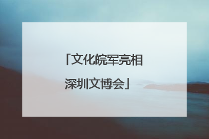 文化皖军亮相深圳文博会