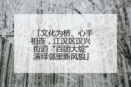 文化为桥、心手相连，江汉区汉兴街道“百团大绽”演绎邻里新风貌