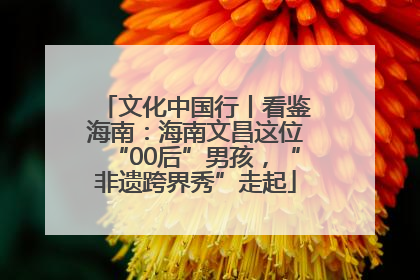 文化中国行丨看鉴海南：海南文昌这位“00后”男孩，“非遗跨界秀”走起