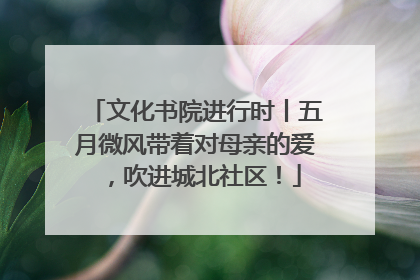 文化书院进行时丨五月微风带着对母亲的爱，吹进城北社区！