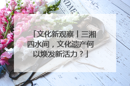 文化新观察丨三湘四水间，文化遗产何以焕发新活力？