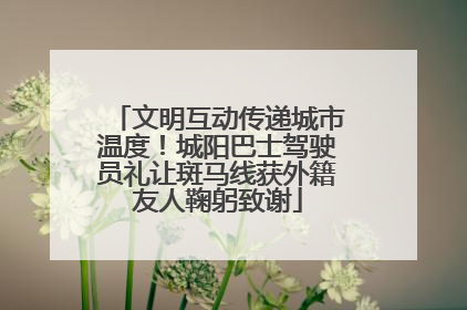 文明互动传递城市温度！城阳巴士驾驶员礼让斑马线获外籍友人鞠躬致谢