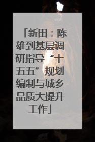 新田：陈雄到基层调研指导“十五五”规划编制与城乡品质大提升工作
