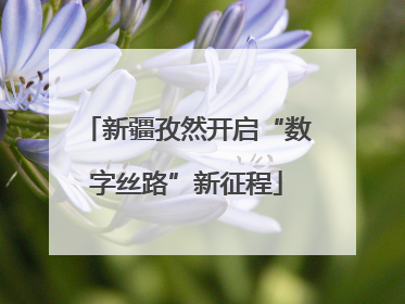新疆孜然开启“数字丝路”新征程