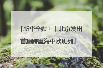 新华全媒＋丨北京发出首趟跨里海中欧班列