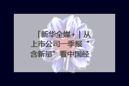 新华全媒+｜从上市公司一季报“含新量”看中国经济发展向“新”