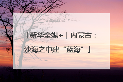 新华全媒+｜内蒙古：沙海之中建“蓝海”