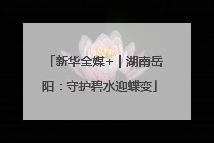 新华全媒+｜湖南岳阳：守护碧水迎蝶变