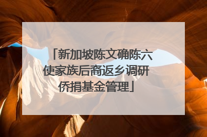 新加坡陈文确陈六使家族后裔返乡调研侨捐基金管理