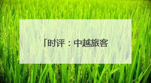 时评：中越旅客列车重启，跨越山海共赴未来