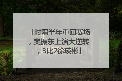 时隔半年重回赛场，樊振东上演大逆转，3比2徐瑛彬