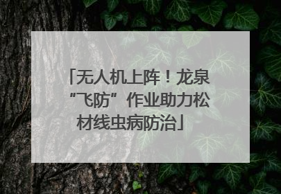无人机上阵！龙泉“飞防”作业助力松材线虫病防治