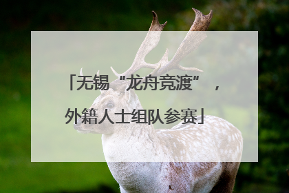 无锡“龙舟竞渡”，外籍人士组队参赛