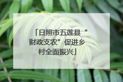 日照市五莲县“财政支农”促进乡村全面振兴
