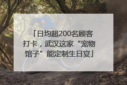 日均超200名顾客打卡，武汉这家“宠物馆子”能定制生日宴