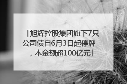 旭辉控股集团旗下7只公司债自6月3日起停牌，本金额超100亿元