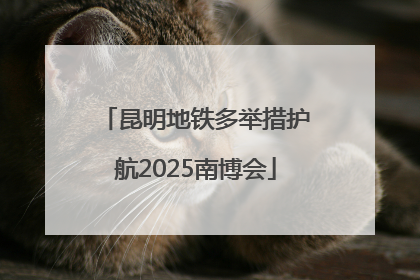 昆明地铁多举措护航2025南博会