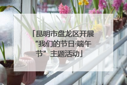 昆明市盘龙区开展“我们的节日·端午节”主题活动