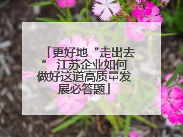 更好地“走出去” 江苏企业如何做好这道高质量发展必答题