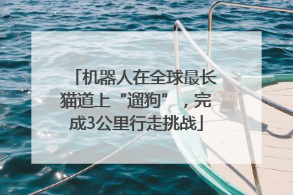 机器人在全球最长猫道上“遛狗”，完成3公里行走挑战