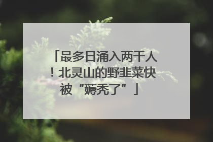 最多日涌入两千人！北灵山的野韭菜快被“薅秃了”